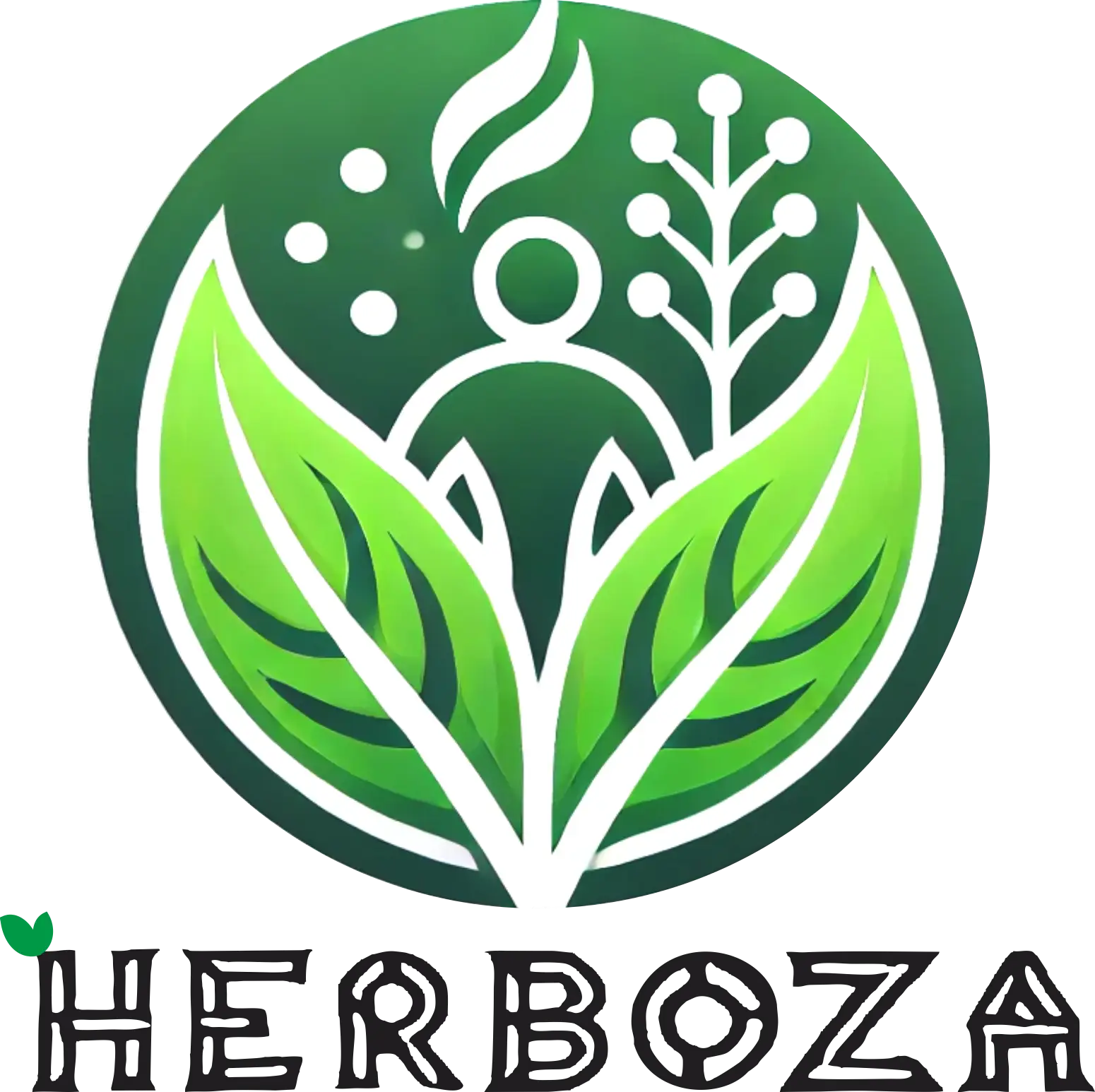 Herboza Logo